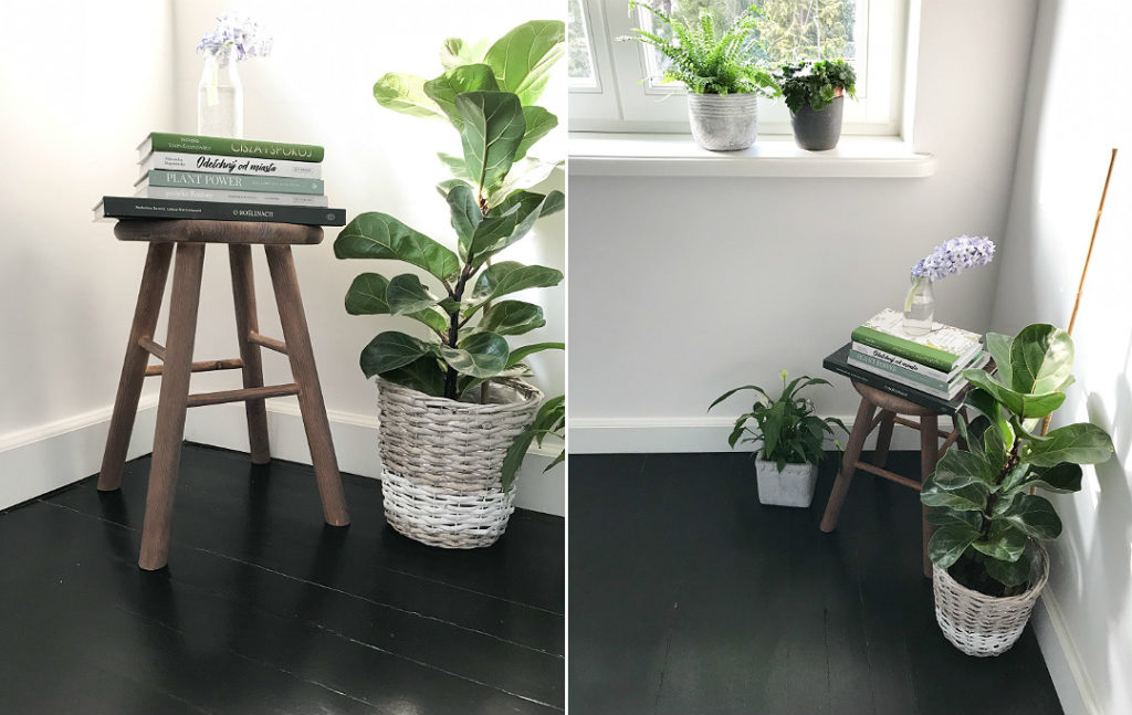stołek DIY książka O roślinach rośliny domowe kwiaty w domu