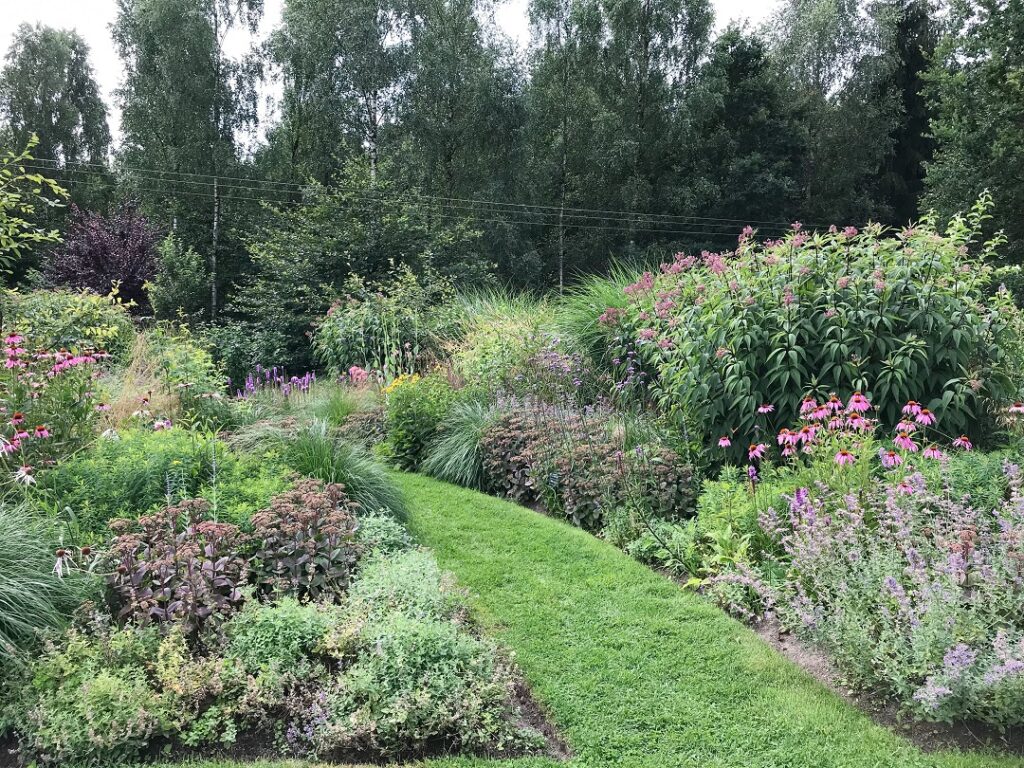 ogród Bellingham, ogród preriowy, preria, ogród w stylu preriowym, ogród preriowy kaszuby, ogród pokazowy, ogród dla pszczół i motyli