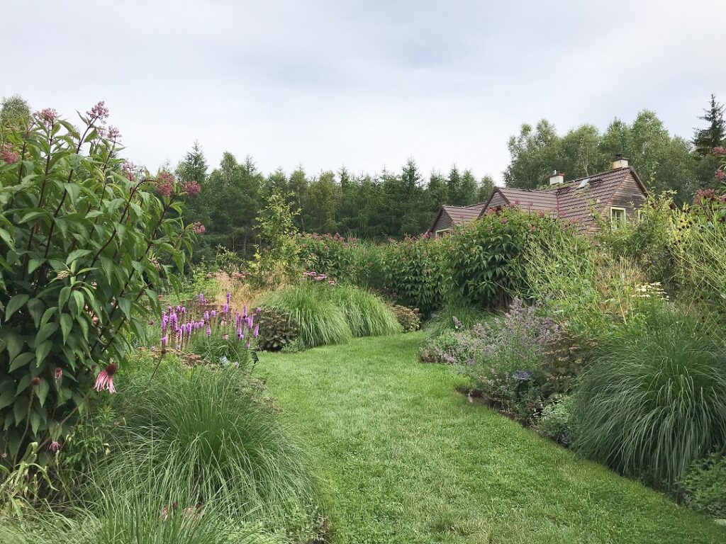 ogród bellingham, ogród preriowy, preria, ogród w stylu preriowym, ogród preriowy kaszuby, ogród pokazowy, ogród dla pszczół i motyli